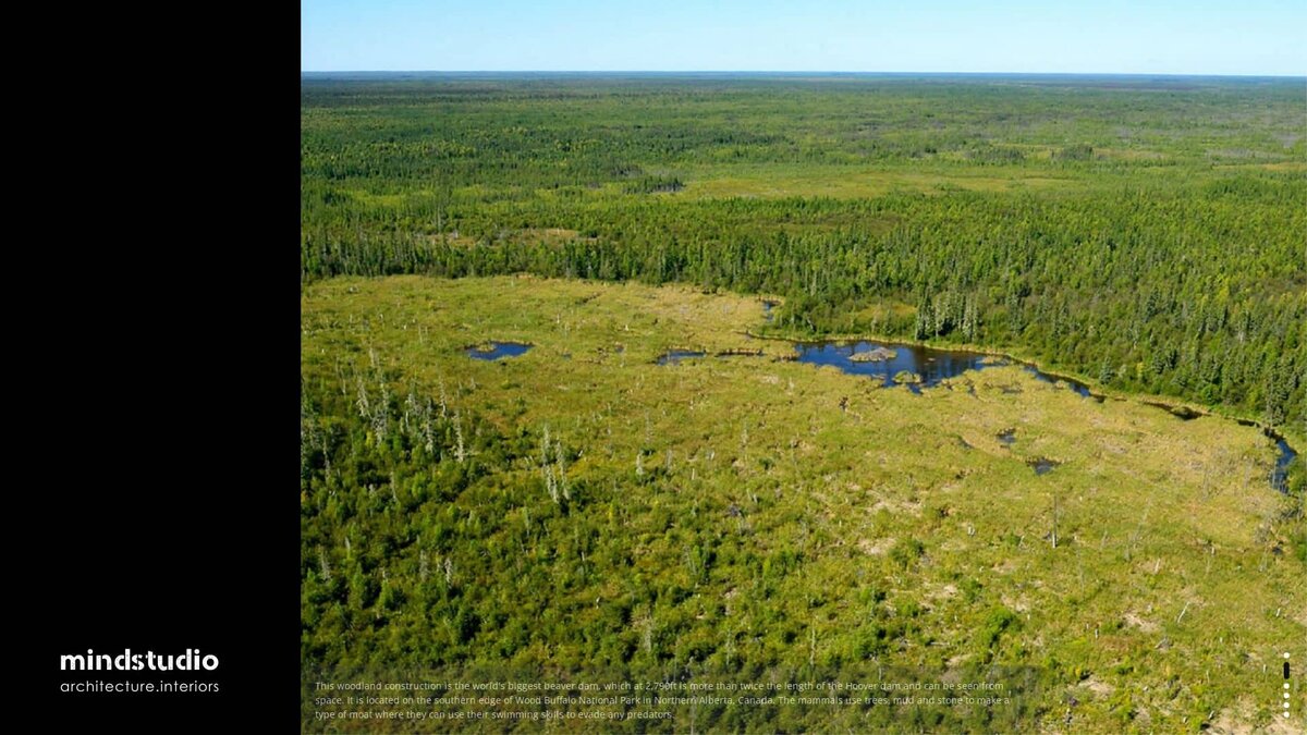 Бобровая плотина Вуд-Баффало, сайт: https://futureen.com/tool/personalizio/