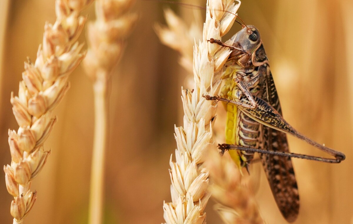     / Источник: © ИЗВЕСТИЯ/Эдуард Корниенко