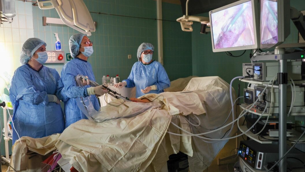    Belkin Alexey/Globallookpress