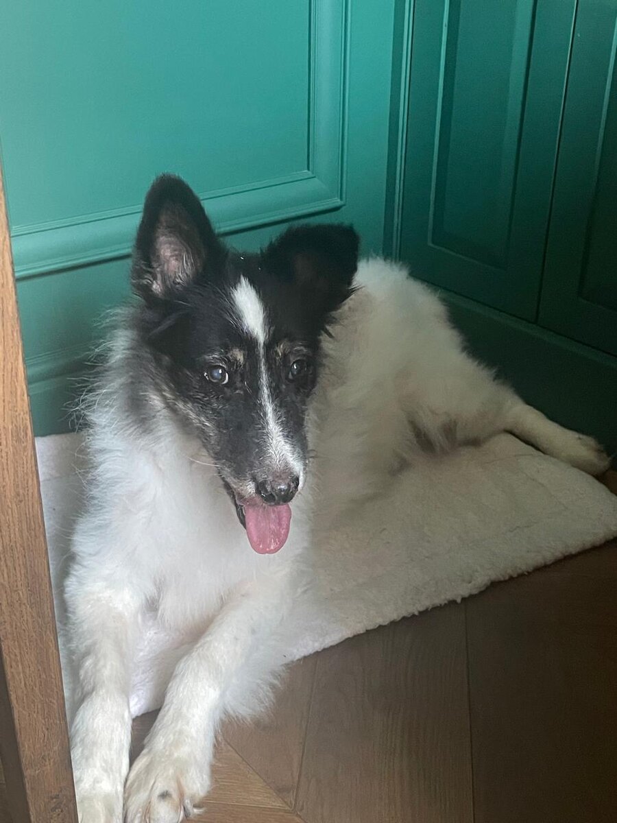 Сама не поняла, как это раз и дома?