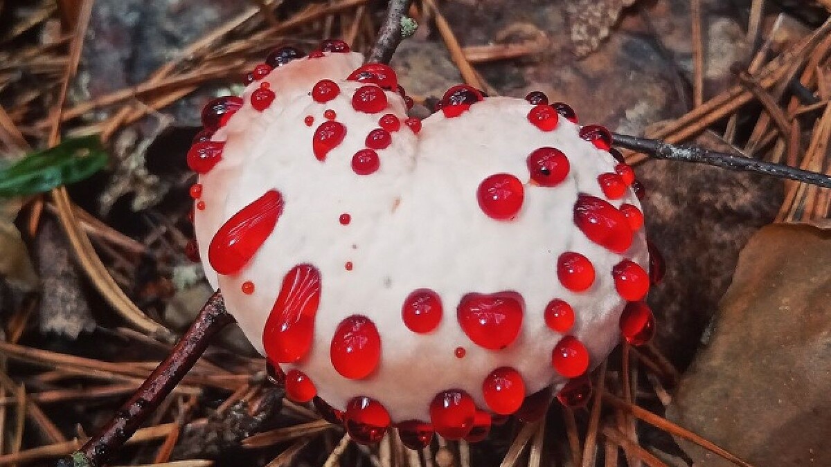    Фото: Артем Мишулин (vk.com/id552191015)