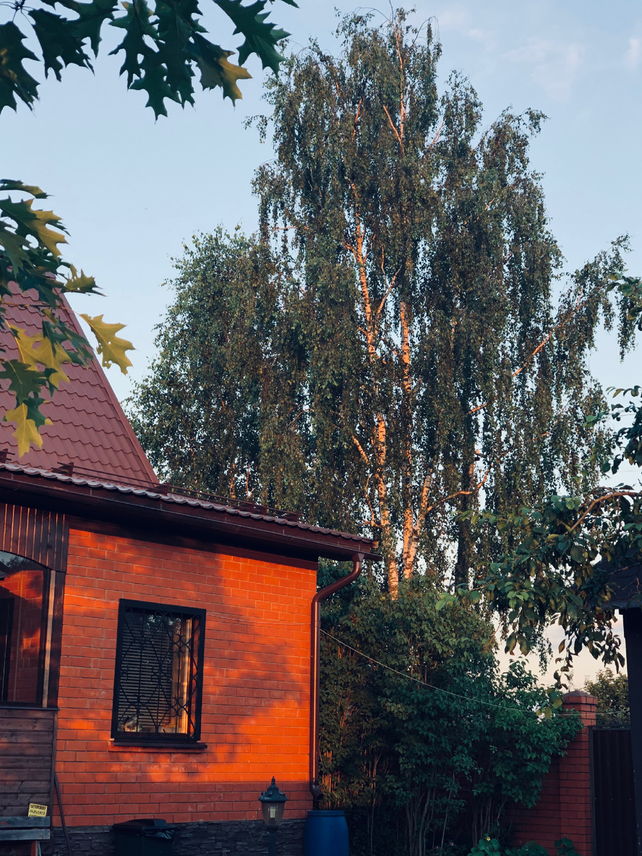 Сидишь на качелях и смотрешь на всю эту красоту! Везде фото автора.