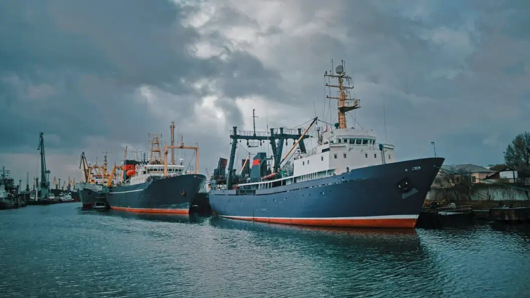    Фото: shutterstock.com