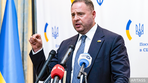     Фото: AP/TASS   
 Текст: Вера Басилая