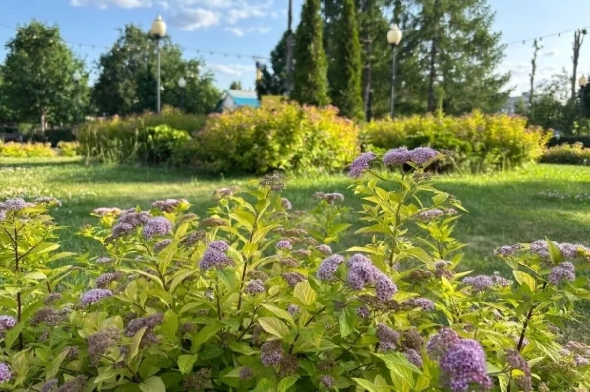    Афиша на 26 и 27 июля.