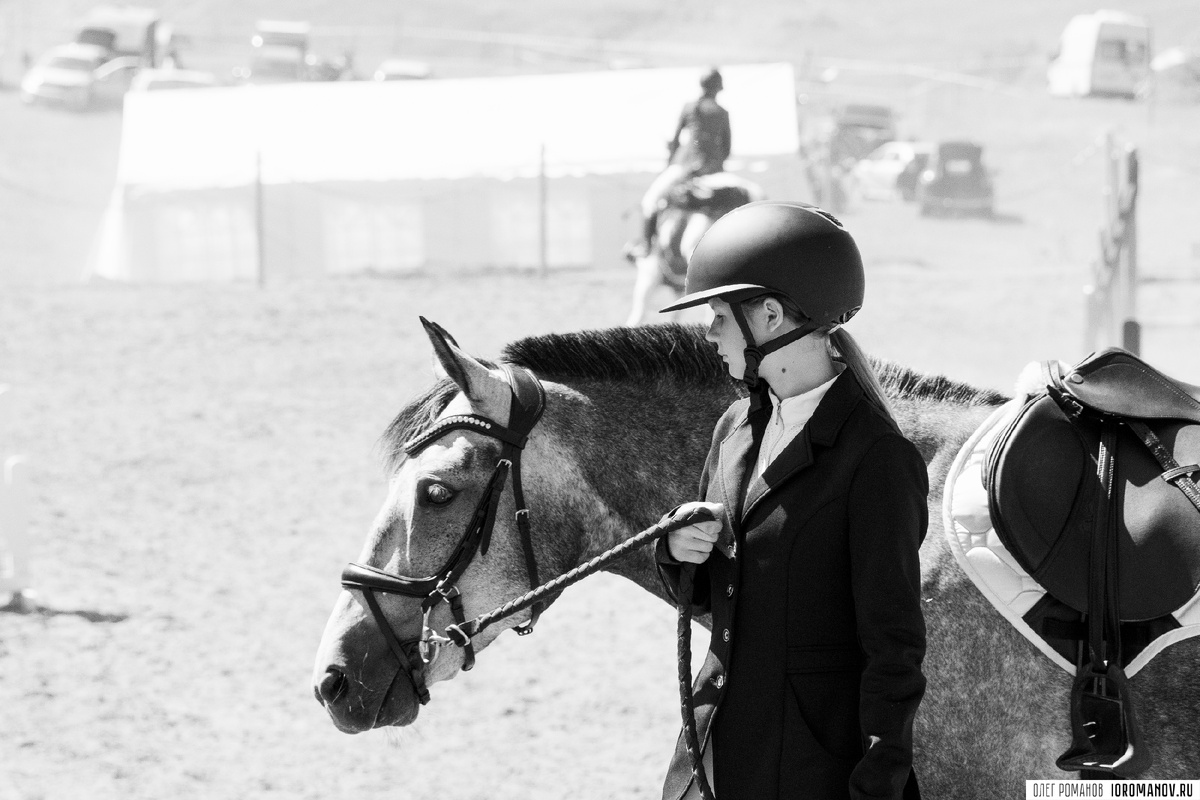 Конь-огонь 2025