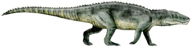 Заврозух. Иллюстрация на белом фоне.