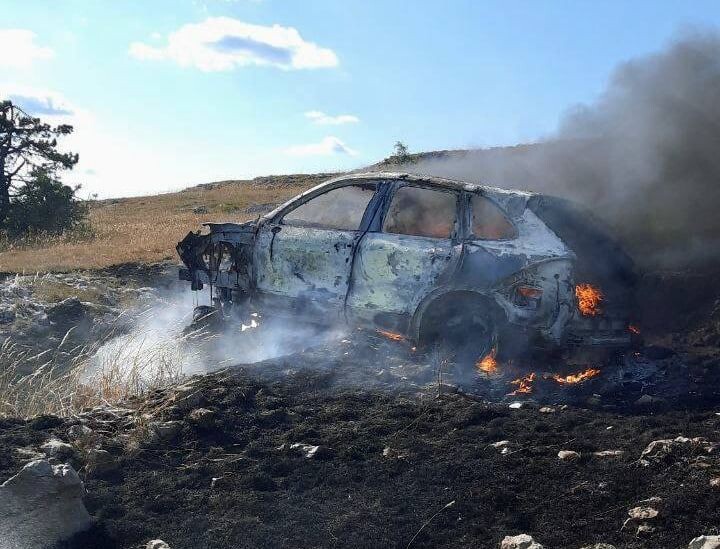     / Источник: © ФГБУ «Заповедный Крым»