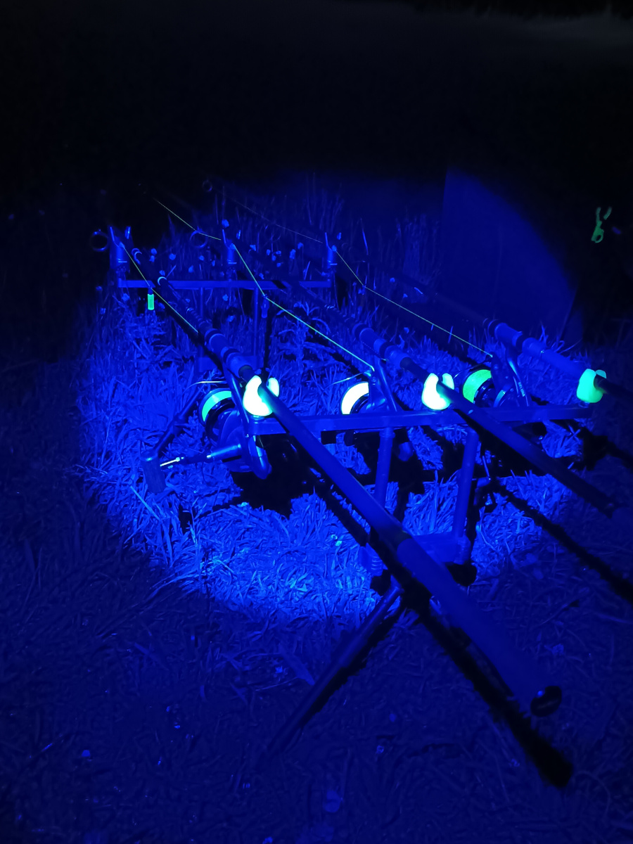 Ловля карпа ночью 