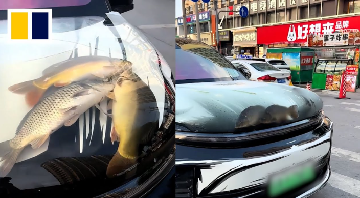 Улов, конечно, внушительный, ясно, чем хотел похвастаться