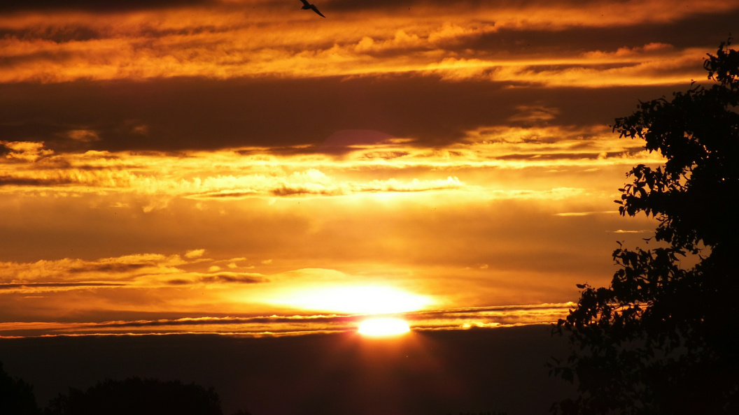    Фото: Victor Lisitsyn/Globallookpress