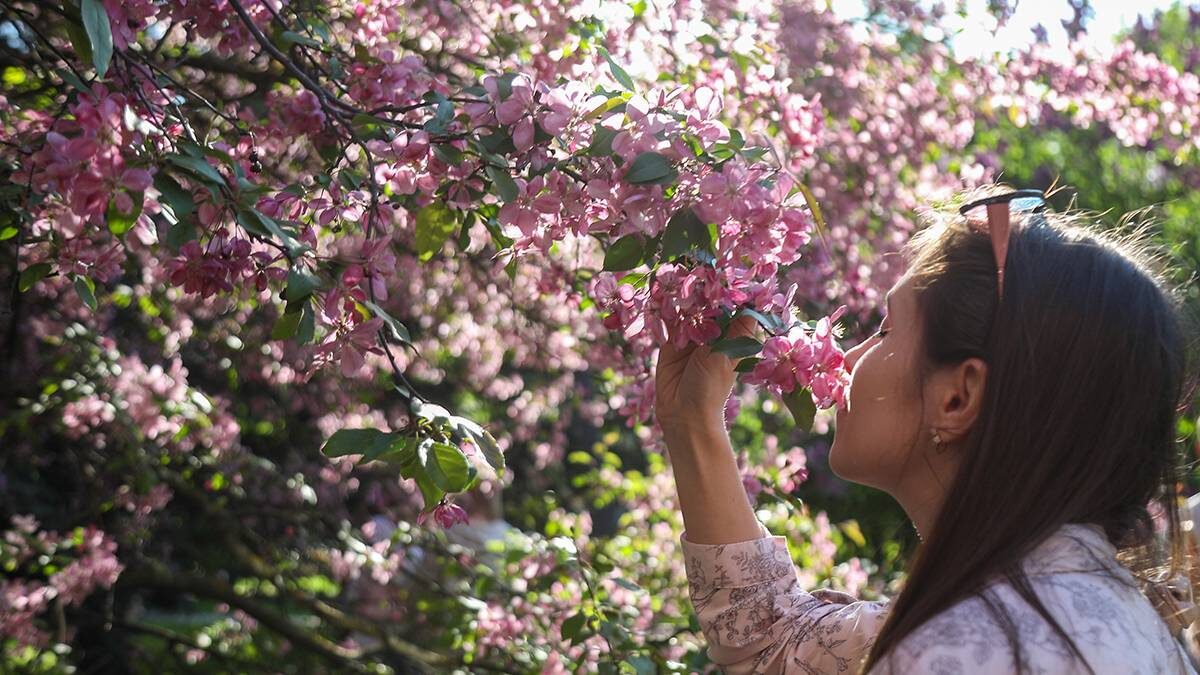    Фото: Артур Новосильцев / АГН Москва