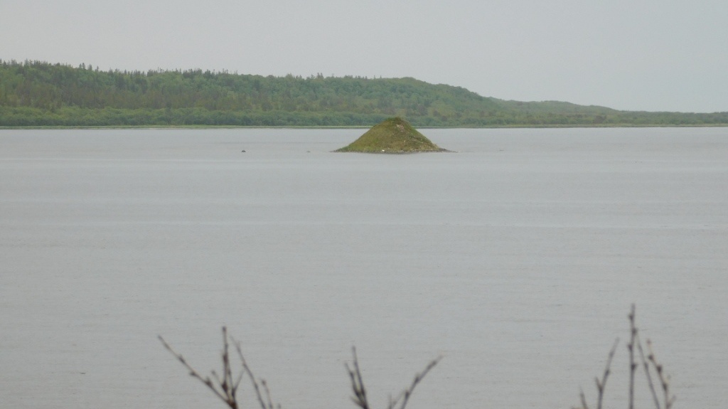 Петровский городок.