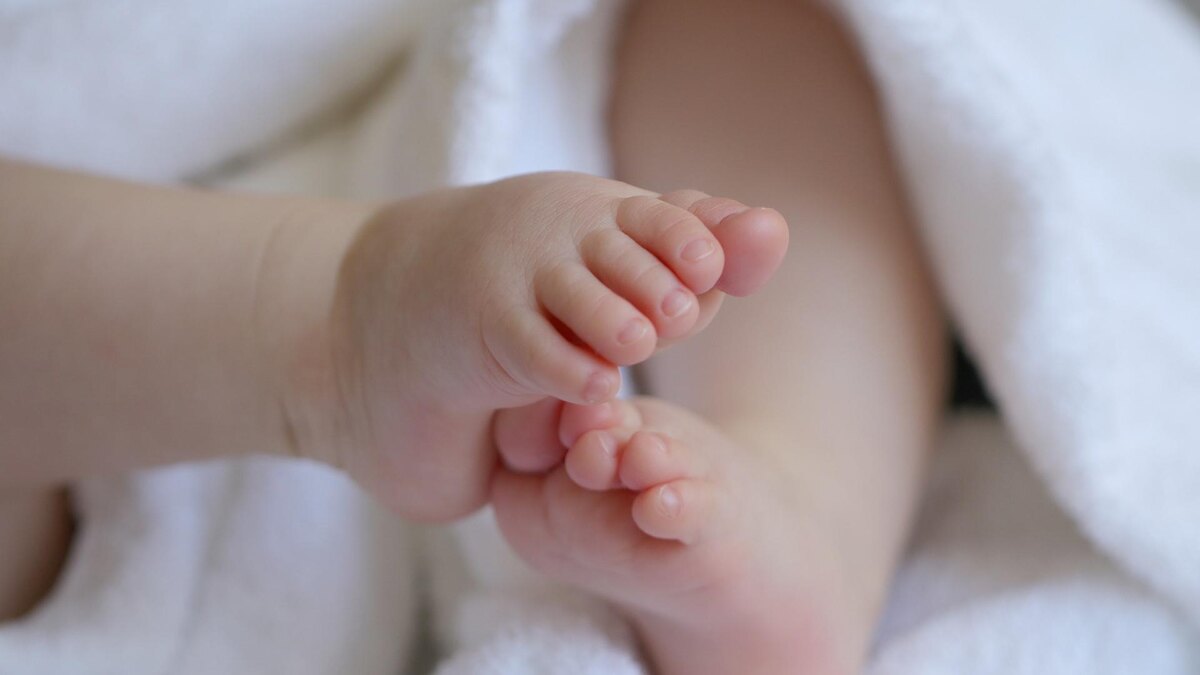    Фото: pixabay.com