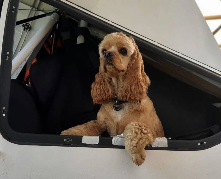    Флоперон. Фото: t.me/boreyaircraft