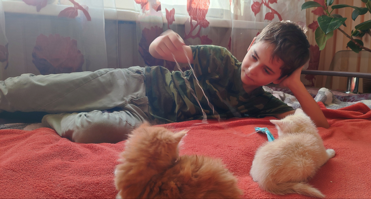 С котятами занимаюсь не только я, но и внуки. Вот сегодня в гости забегал Алексей и поиграл с ними немного. 