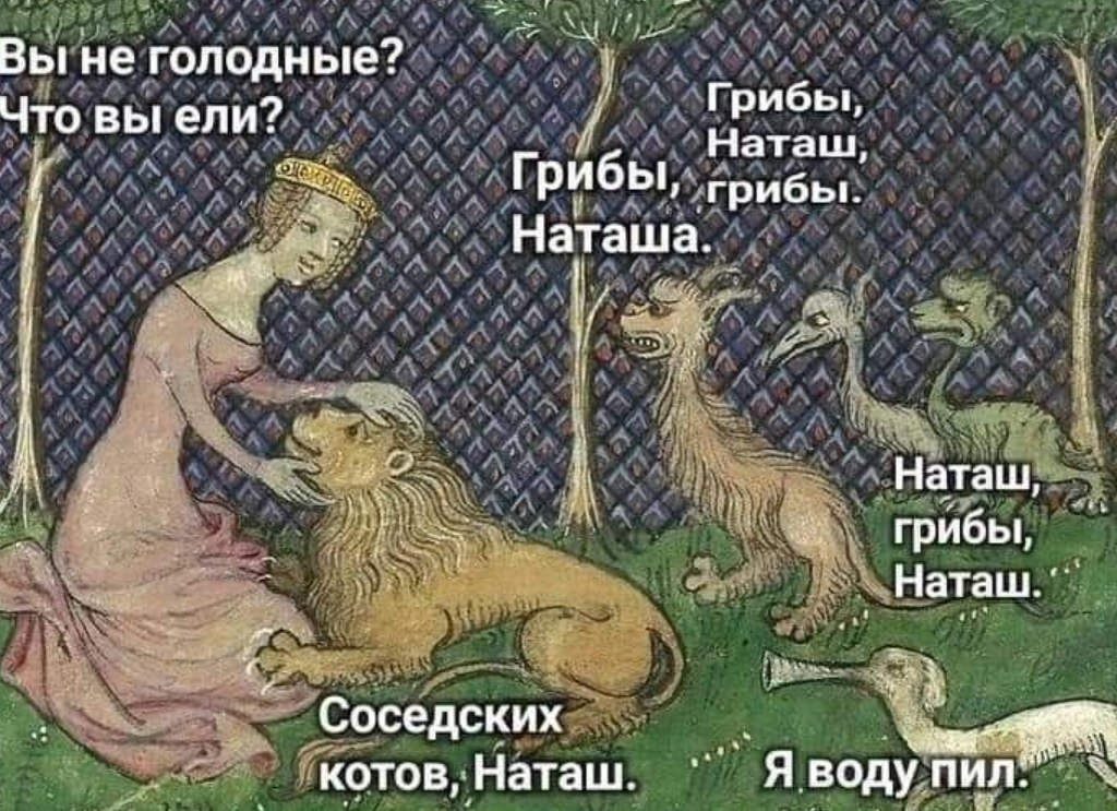 одна из моих любимых картинок :) если что, я грибов не ела, а жаль )) мне нравятся грибы, которые съедобные - белые там, опята или хотя бы шампиньоны.