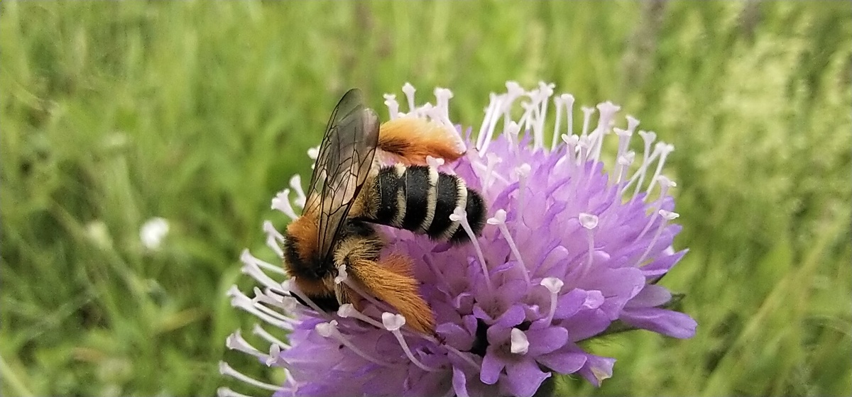 Личное фото
