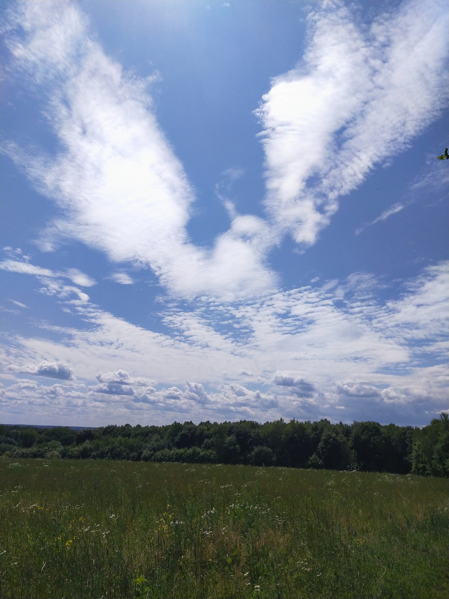 Личное фото