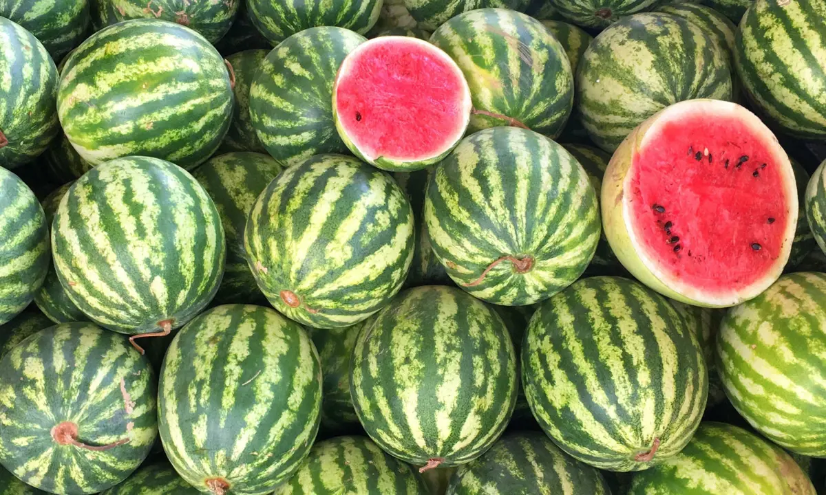 Фото: Управление Россельхознадзора по Иркутской области и Республике Бурятия