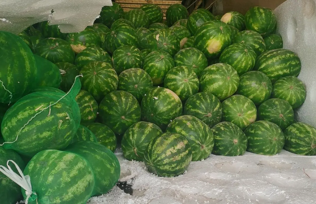 Фото: Управление Россельхознадзора по Иркутской области и Республике Бурятия