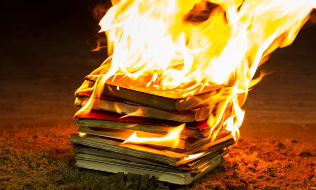 Фото находится в свободном доступе в Интернете