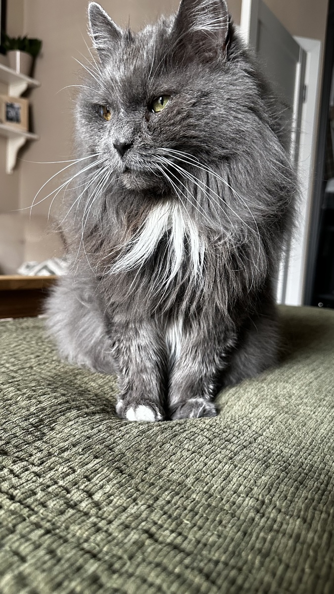 Батошка, конечно, скучает, но дома ему точно спокойнее, так как здесь все свое и привычное. 