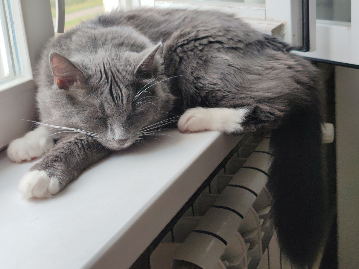 Фото автора канала. 