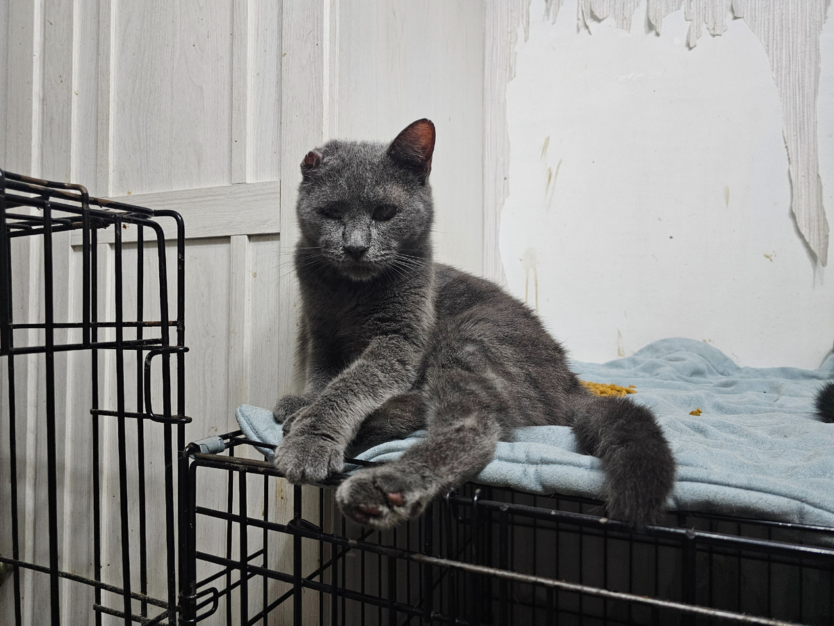 Слепой Серега