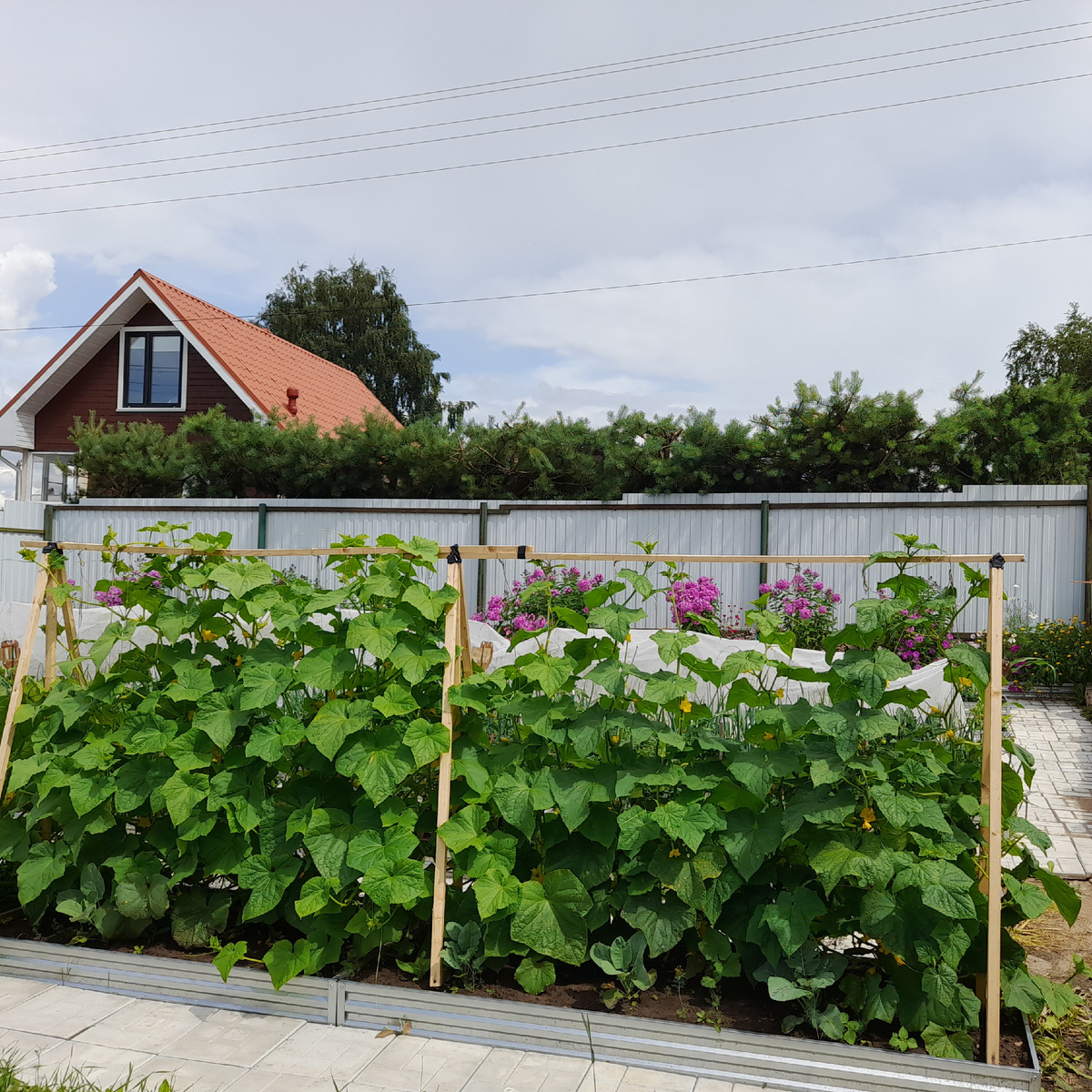 фото автора 2022г