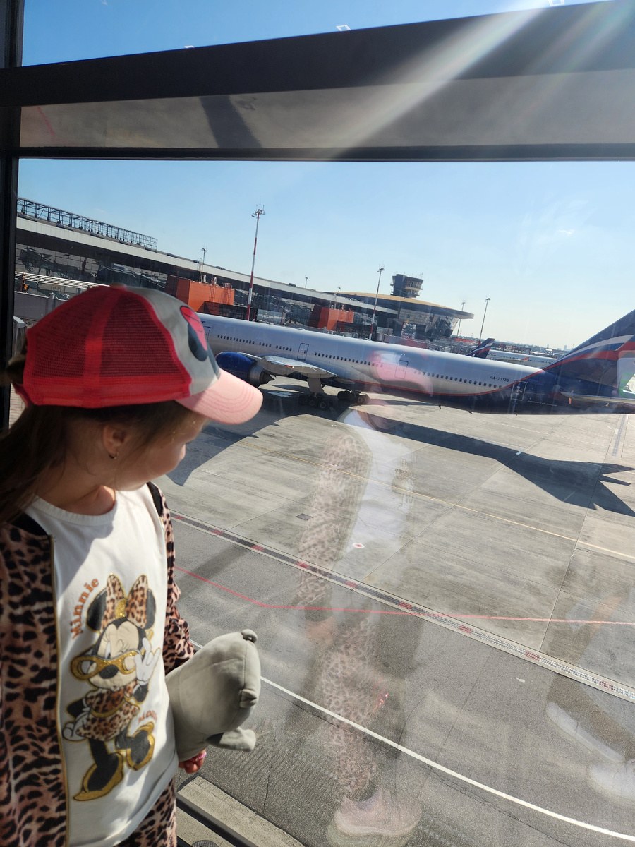 Аэропорт Шереметьево