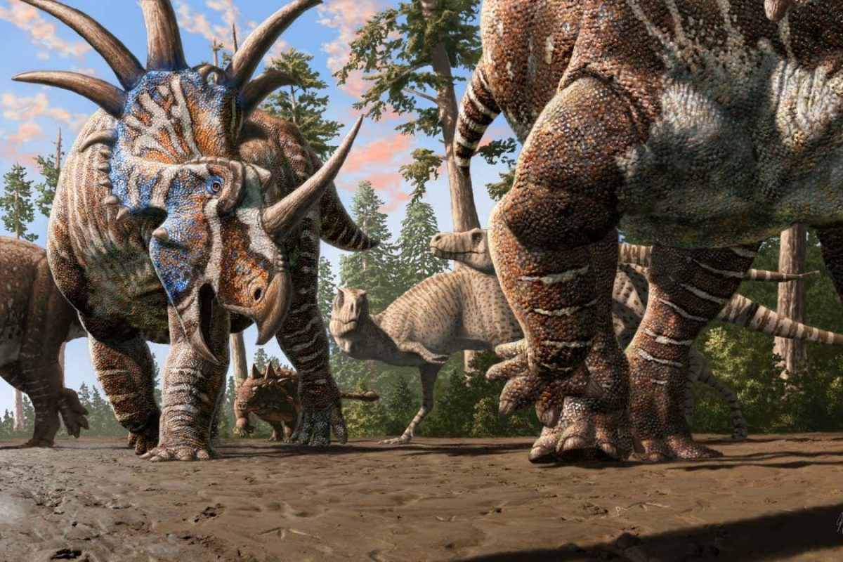    Стадо цератопсов вместе с анкилозавром идет вдоль русла реки, а двумя шагами дальше за ними наблюдают два тираннозавра. Представление художника / © Julius Csotonyi