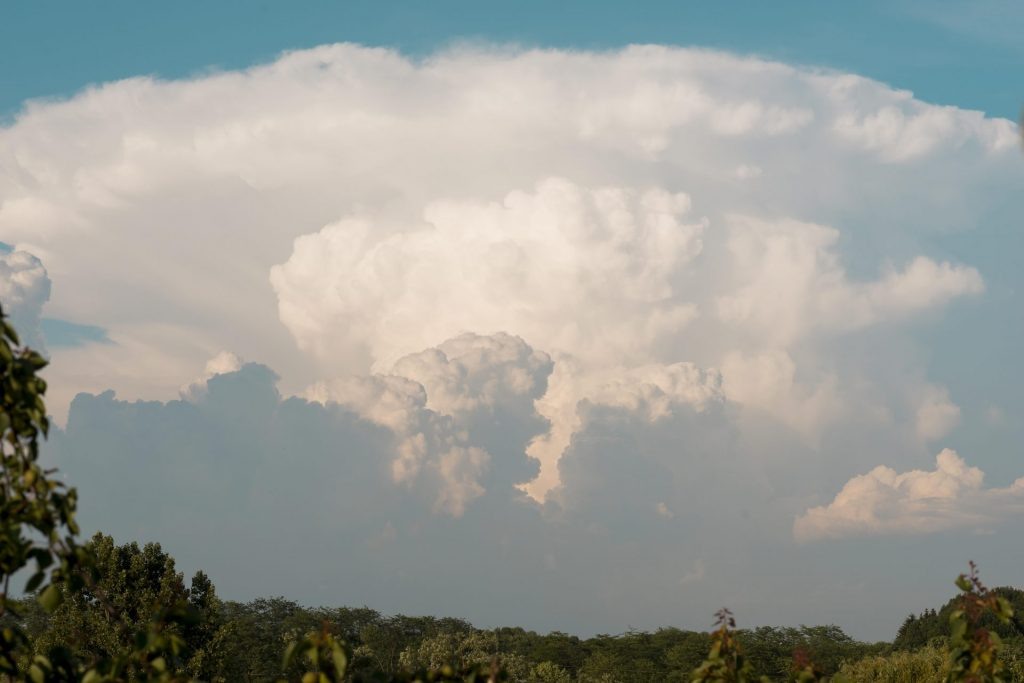    Фото: freepik.com Редактор