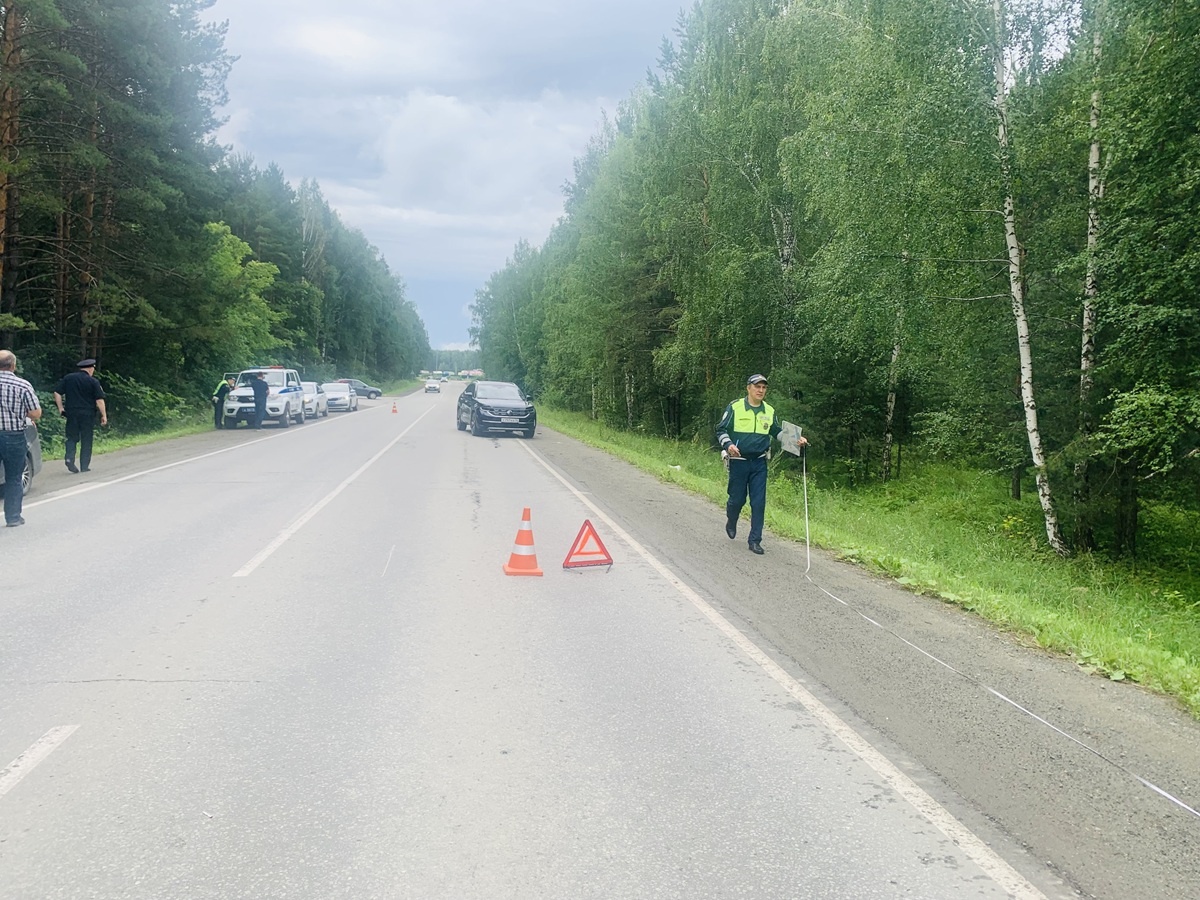 Фото: Госавтоинспекция Свердловской области  📷
