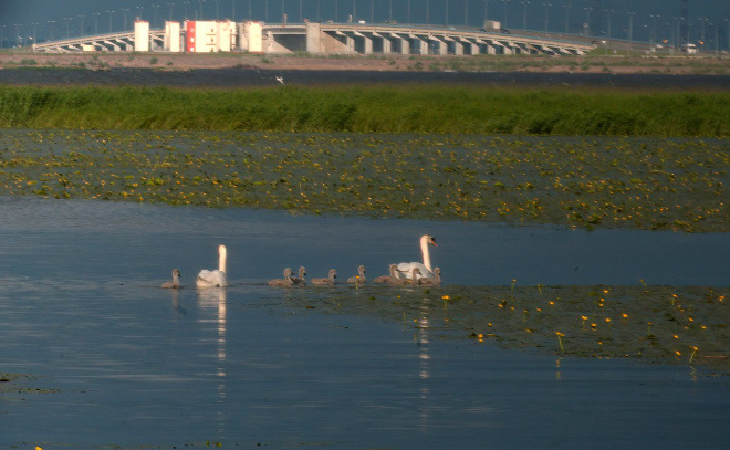    © Telegram / Каждой твари по паре