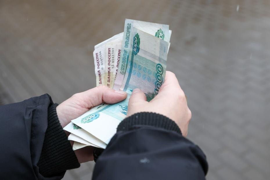    Наталья Шатохина/NEWS.ru