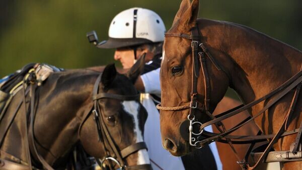    © Sputnik / Владимир Вяткин