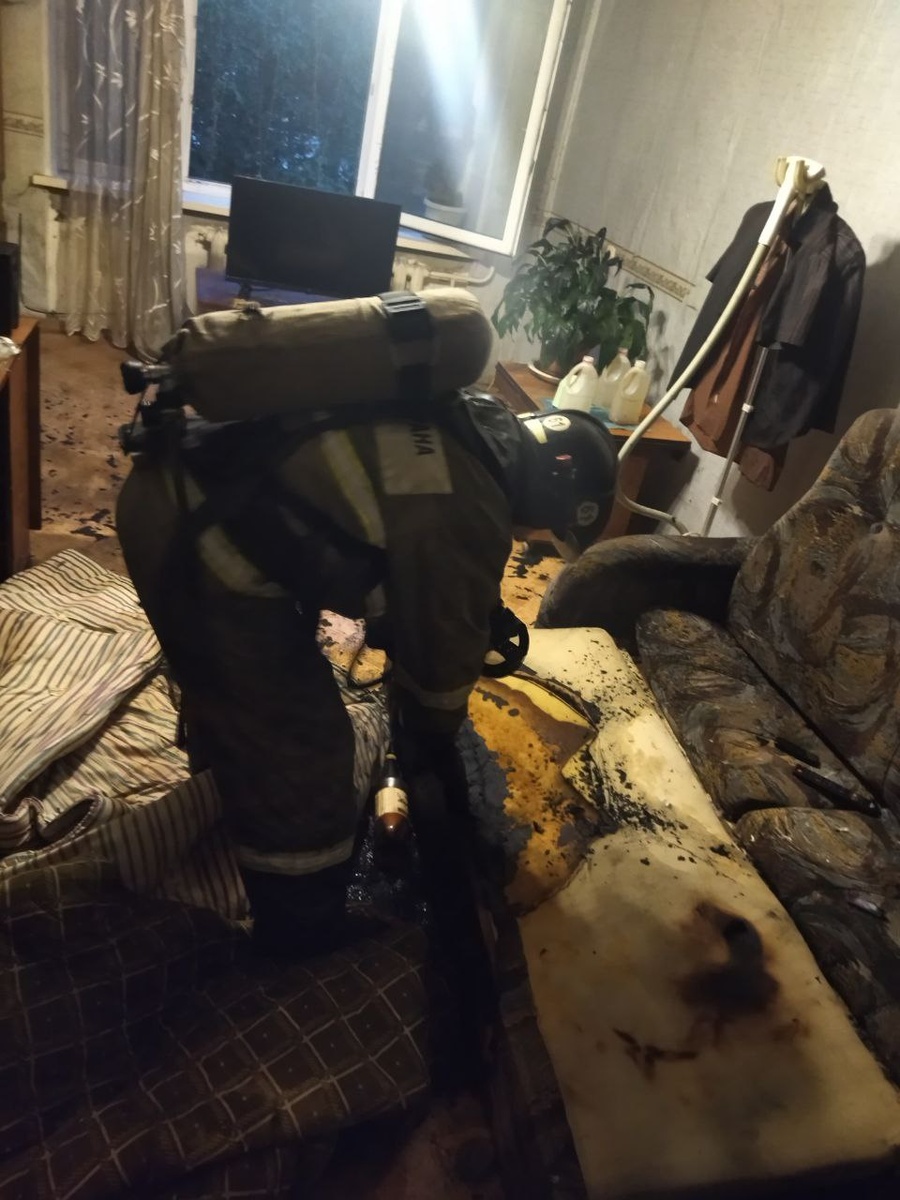    Фото: Госкомитет Карелии по безопасности / Telegram