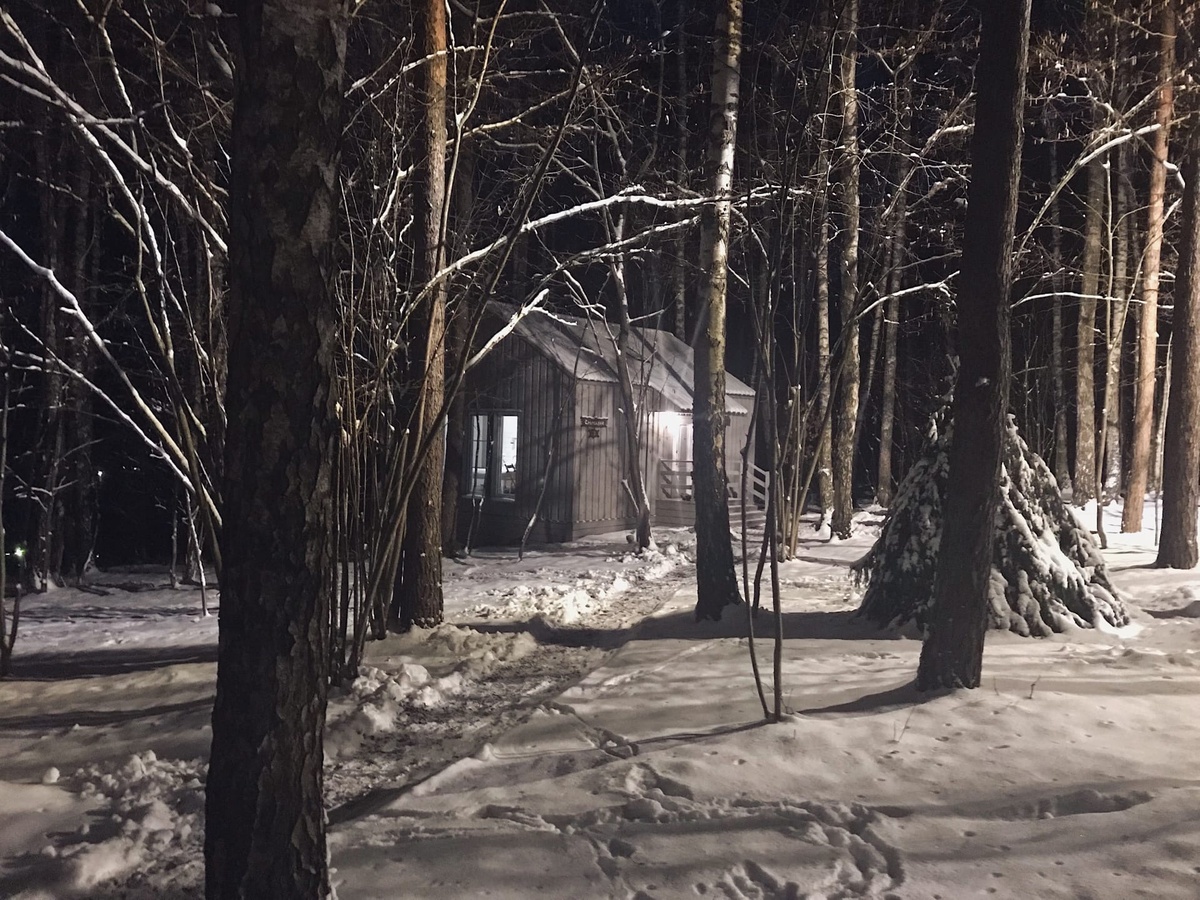 Ночь, снег и наш домик