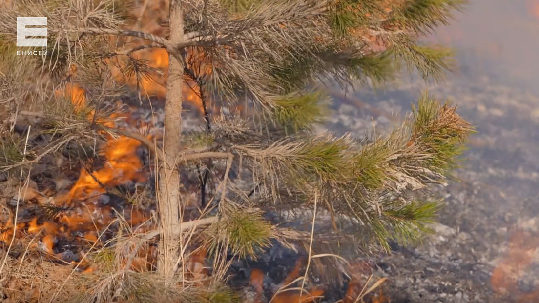     В лесах Красноярского края отменили режим ЧС