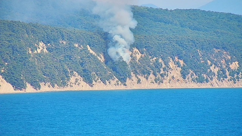    Фото: пресс-служба Краевого лесопожарного центра