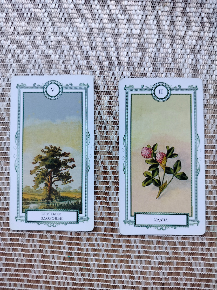 Открытый Вариант 