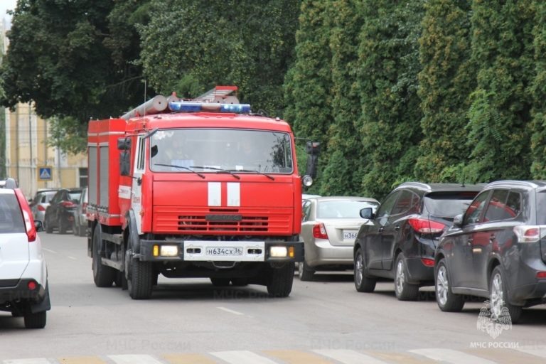    Фото: ГУ МЧС РФ по Воронежской области Анфиса Слепцова