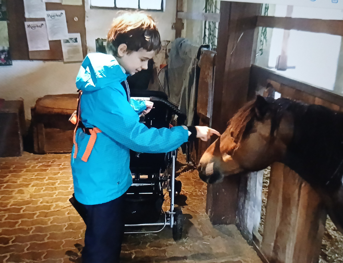 Привет, лошадка!