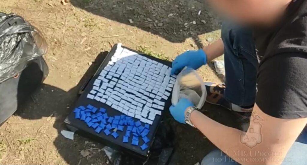    Фото: ГУ МВД России по Пермскому краю Ульяна Бажанова