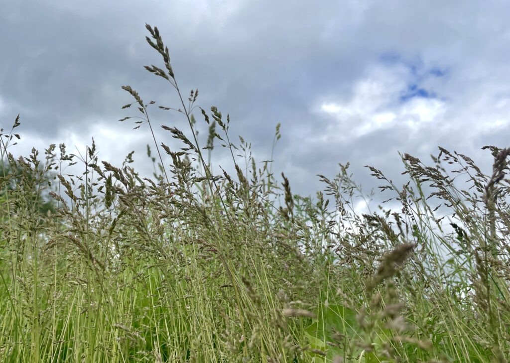    Фото: В курсе.ру Ульяна Бажанова