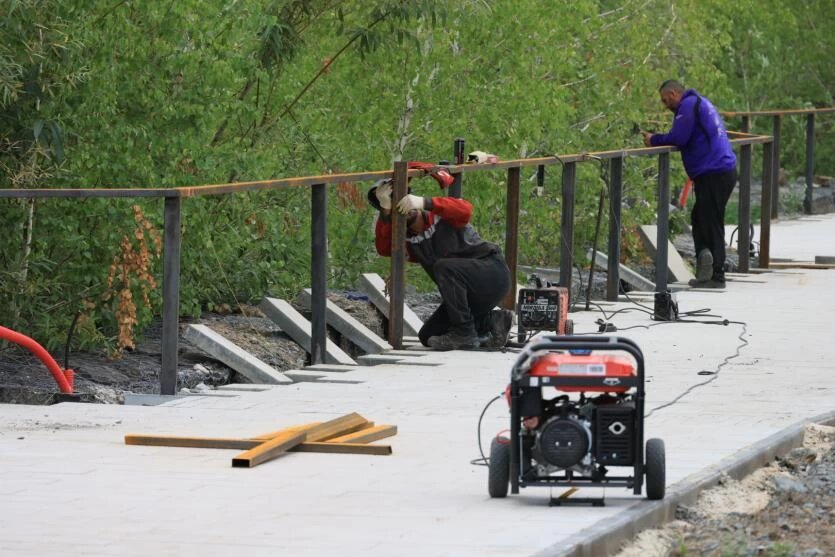 Фото: Дмитрий Куткин