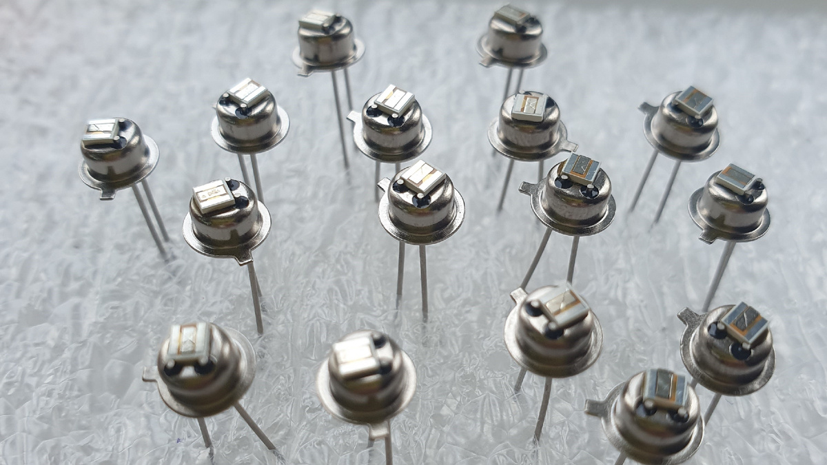 Фото: пресс-служба Росэл