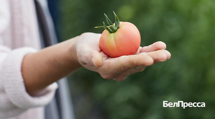 Фото: Елена Журавлёва