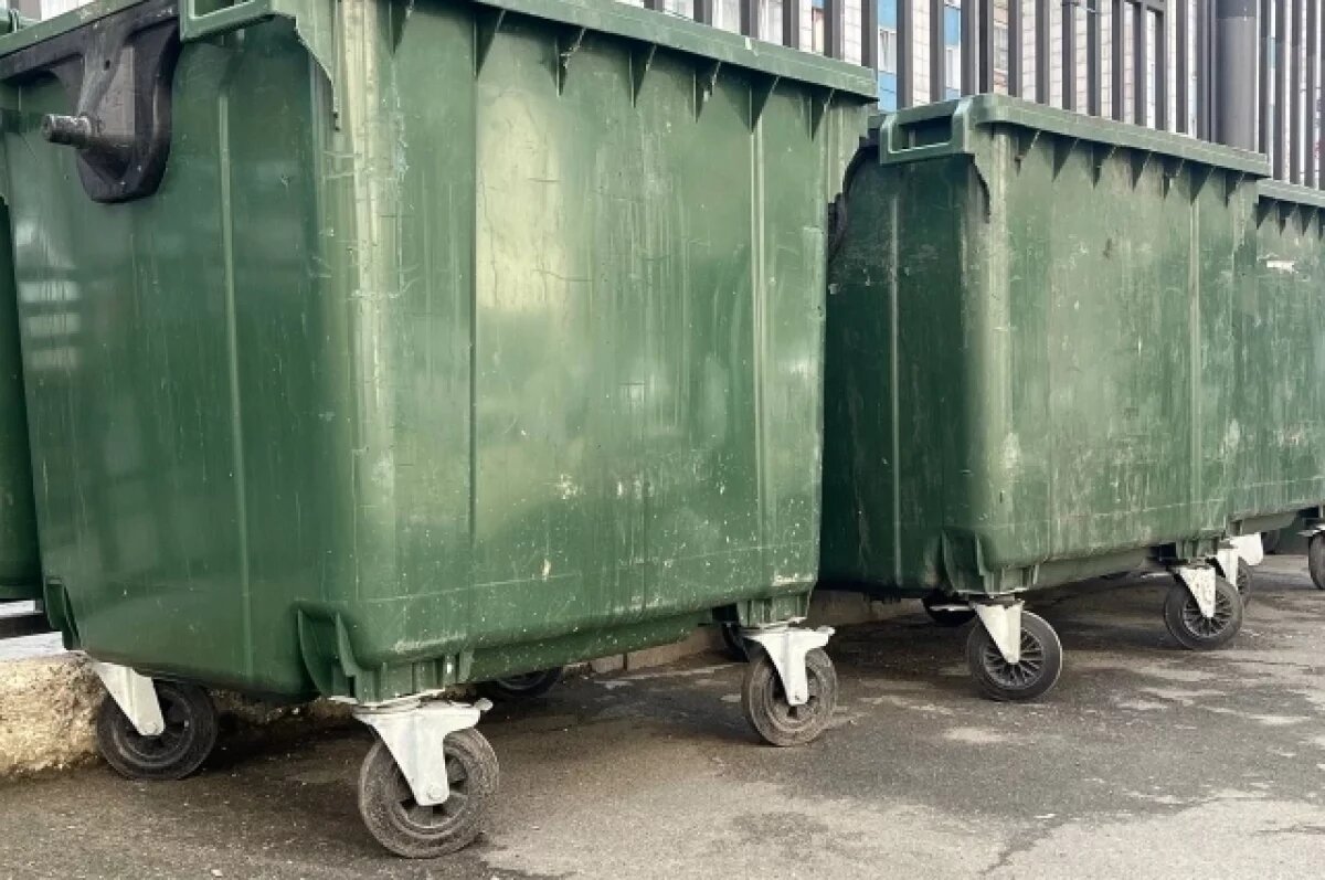    В Перми компанию заставили привести в порядок двор с крысами и насекомыми